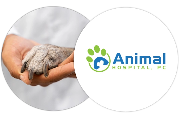 Animal Logo Design for Business and Personal